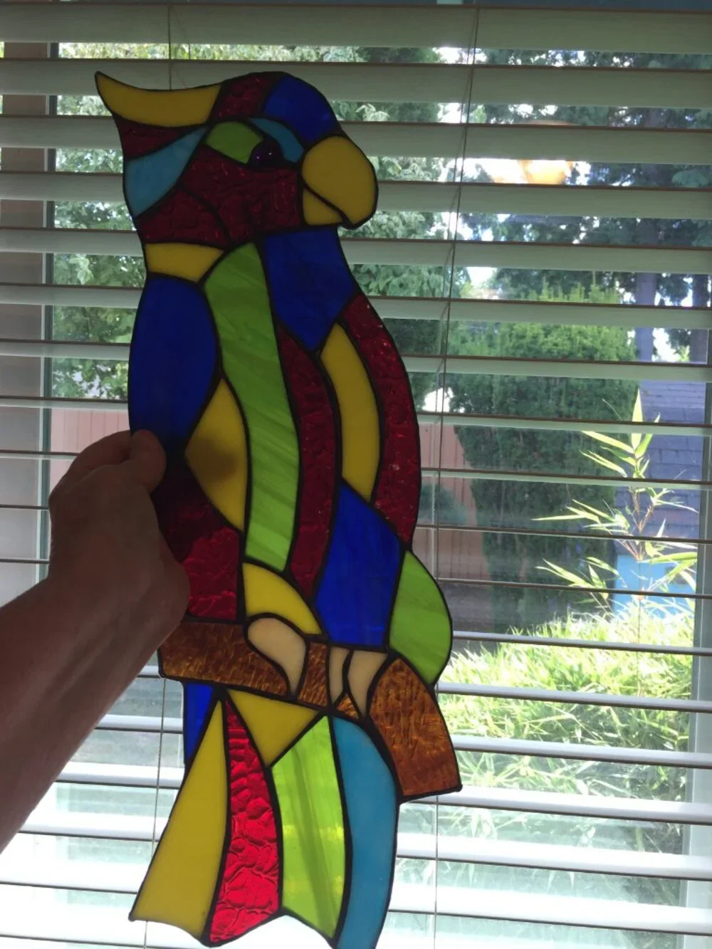 Stained Glass Macaw/Parrot Glass Eyes 18